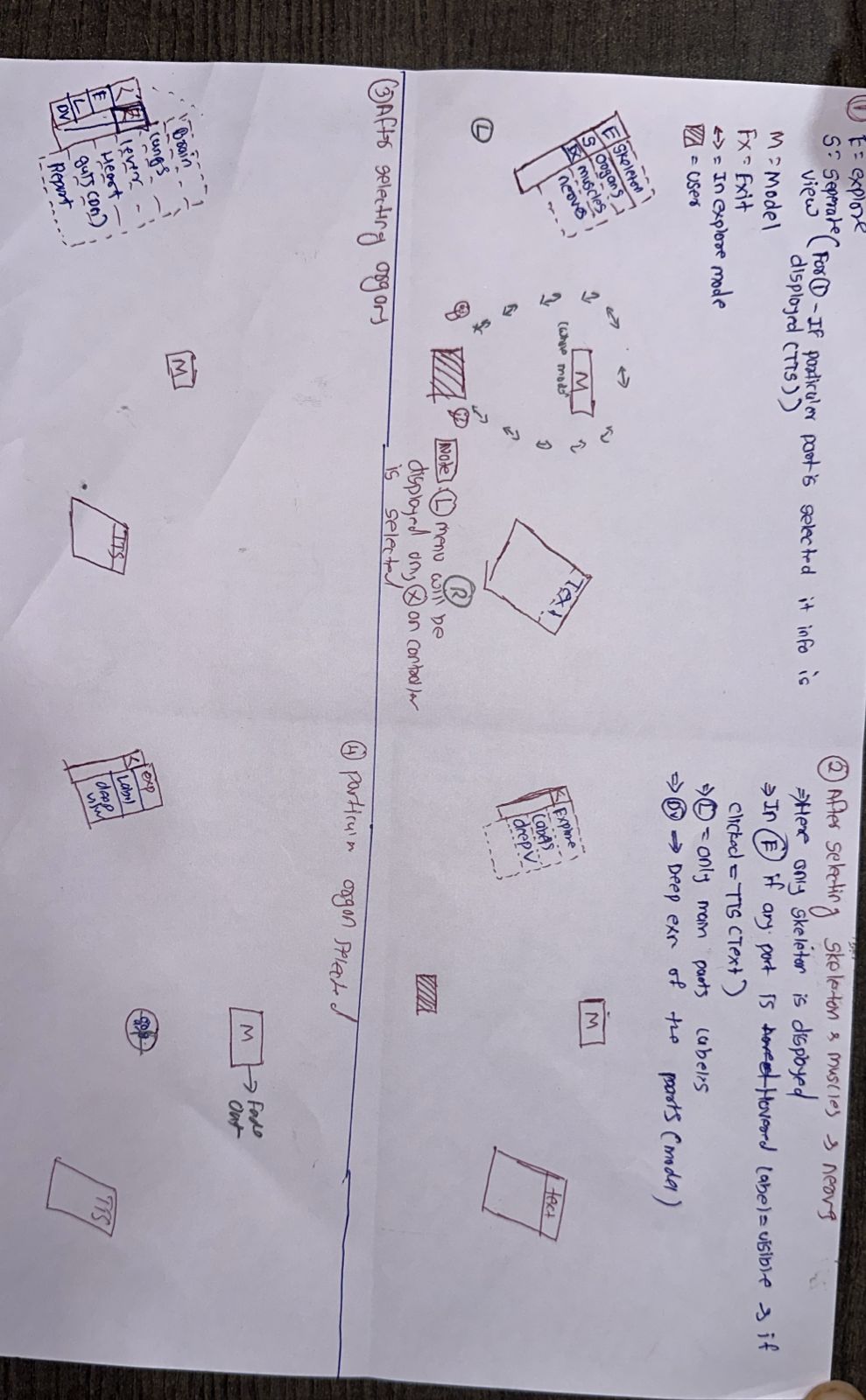 Handwritten plan breaking down the six anatomical modules and three learning modes